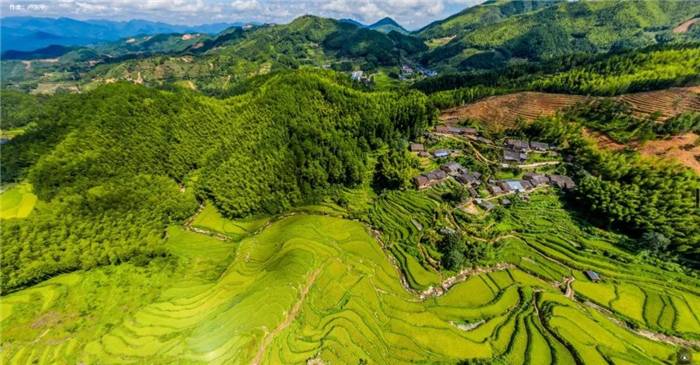 全景精选丨上帝视角看蒲城 VR全景带你游丹桂油茶之乡-酷雷曼VR全景